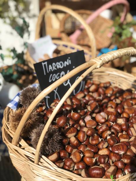 Cesto di castagne appena raccolte